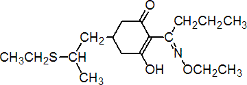 sethoxydim