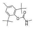 terbucarb