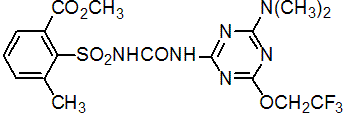 triflusulfuron-methyl